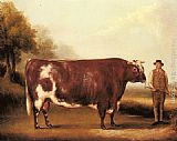 William Davis A Dark Roan Bull painting